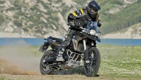 motocicleta, bmw f 800, motociclismo, aventura, enduro