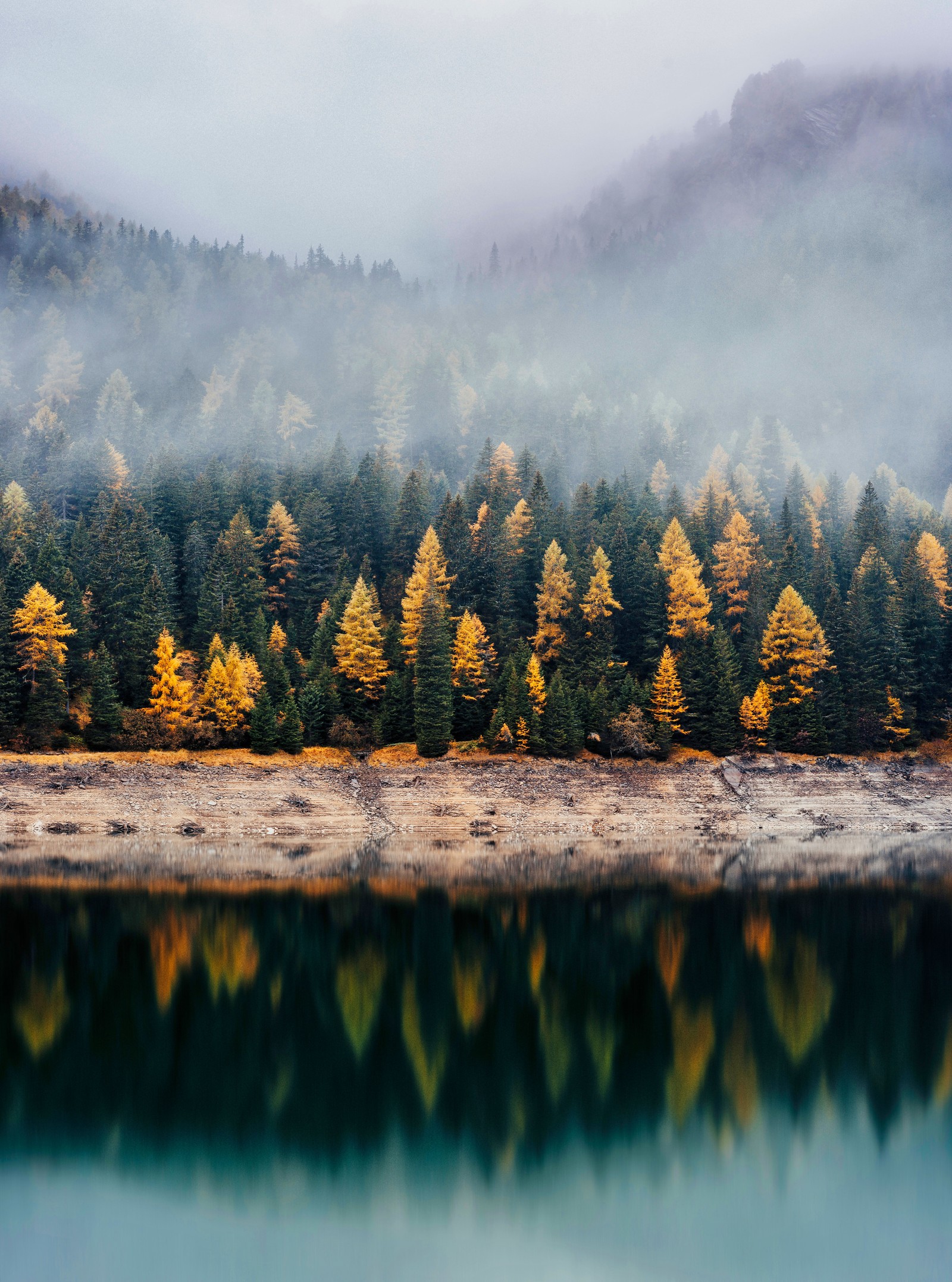 Árvores em primeiro plano de um lago com uma montanha ao fundo (floresta, reflexo, bosques, outono, lago)