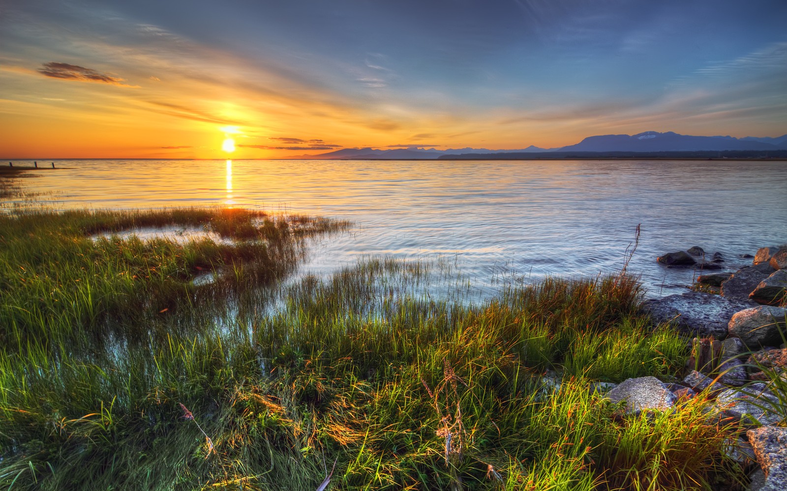 A view of a sunset over a body of water with grass and rocks (shore, horizon, sea, grass, bog)