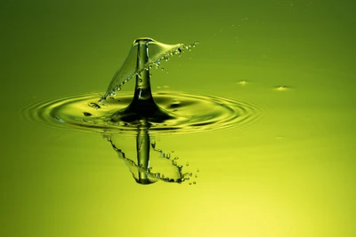 Macro Shot of Water Droplet Creating Ripples on a Green Background