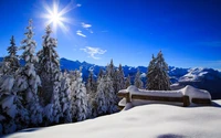 Paysage hivernal ensoleillé dans les Alpes