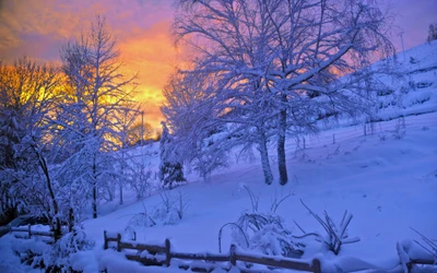 Abraço do inverno: Uma paisagem coberta de neve e serena ao amanhecer