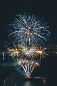 Vibrant Fireworks Illuminating the Night Sky on New Year's Eve