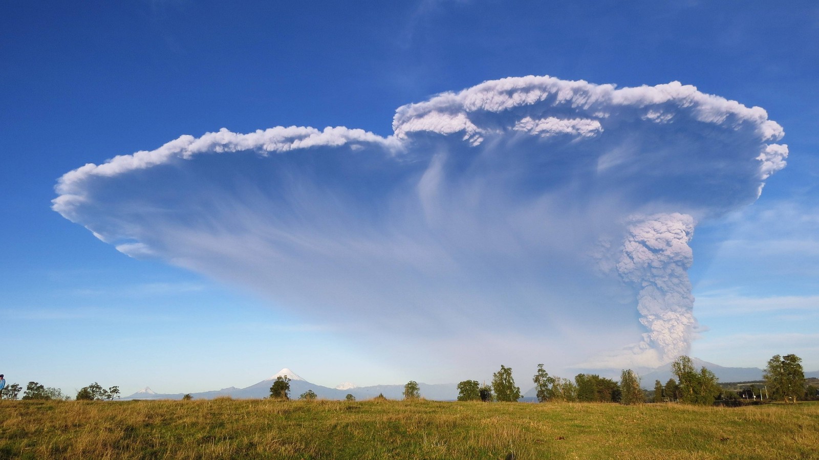 A large cloud is seen over a field with a house in the distance (volcano, calbuco, cloud, natural landscape, nature)