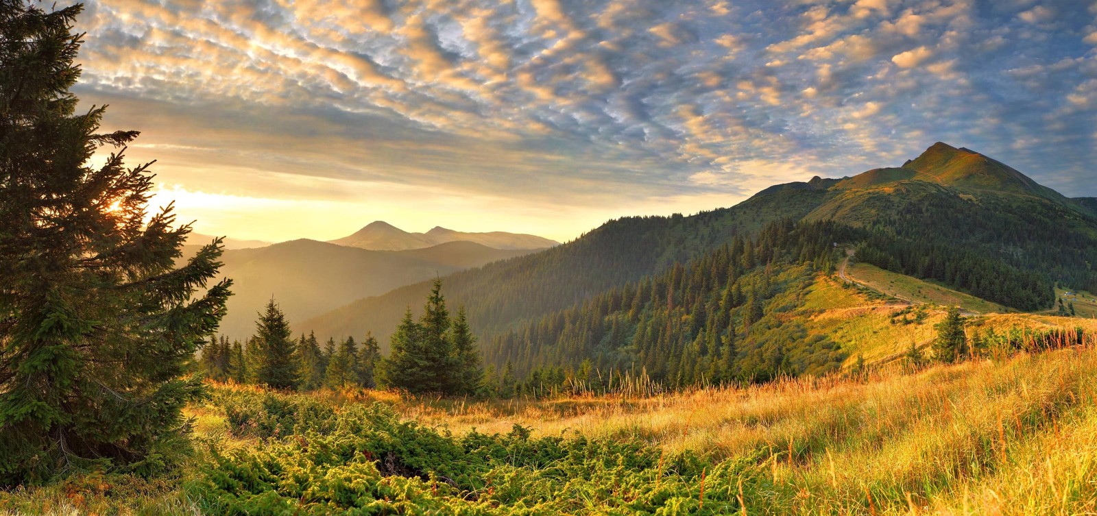 Uma vista de uma cadeia de montanhas com um campo gramado e árvores (paisagem, natureza, formas montanhosas, montanha, wild)