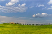 Des pâturages verts ondulants sous un ciel bleu, accentués par une rangée de cyprès et une ferme lointaine.