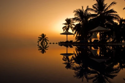 Réflexion tranquille du coucher de soleil avec des palmiers au bord de l'eau