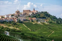 Historisches Dorf auf dem Hügel, umgeben von üppigen Weinbergen