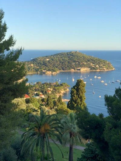 Serene Coastal Landscape with Palm Trees and Tranquil Waters