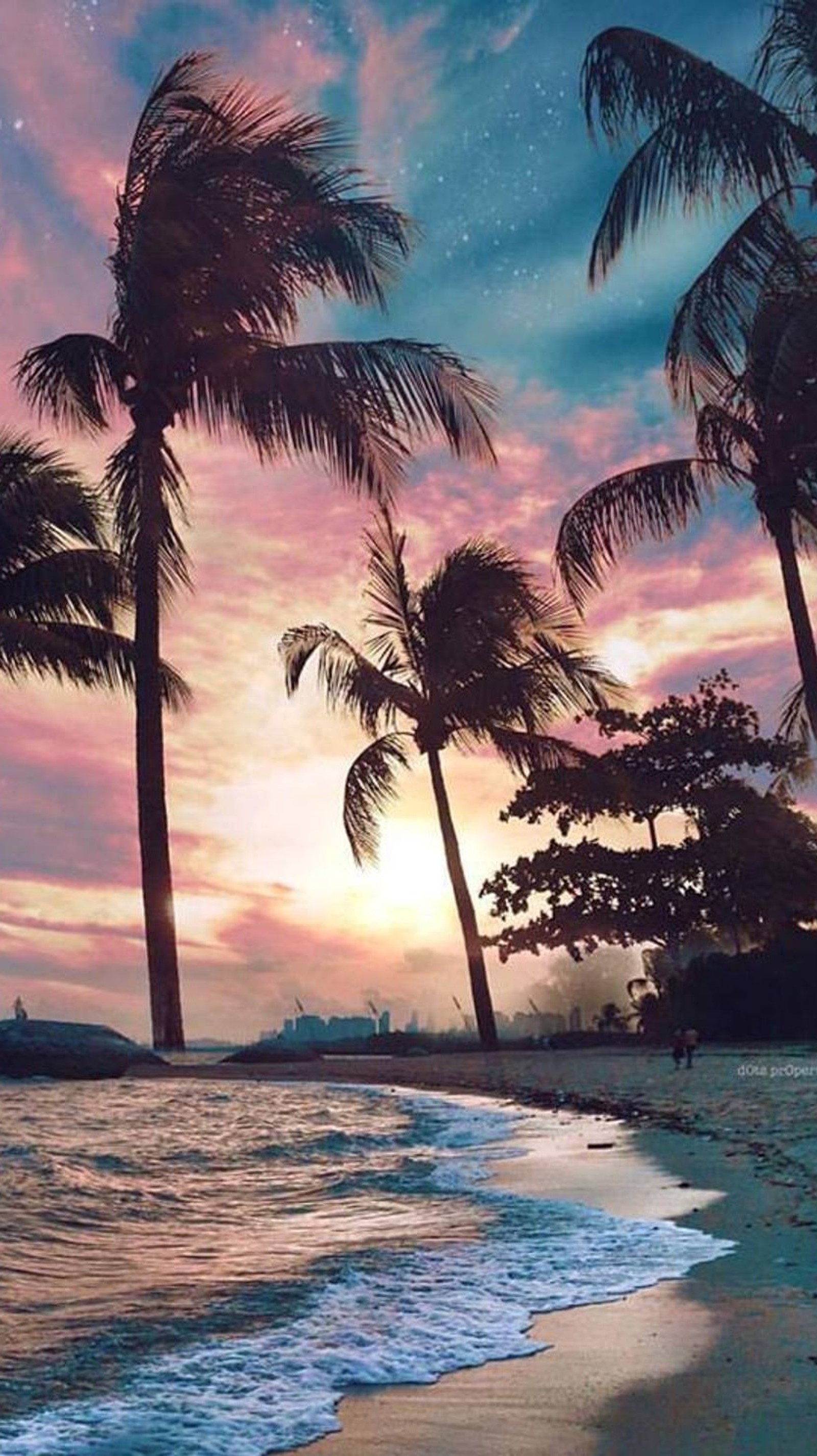 beach, palms, summer, sunset Download Wallpaper