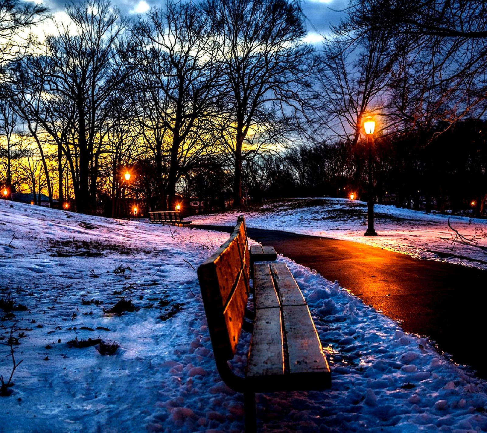 Banc enneigé dans un parc avec des lumières au crépuscule en hiver (nature)