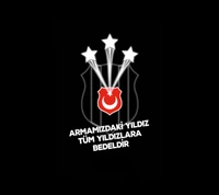 ay, besiktas, bjk, noir, aigle