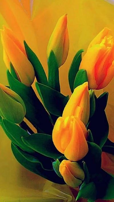 Vibrant Yellow Tulips in Bloom