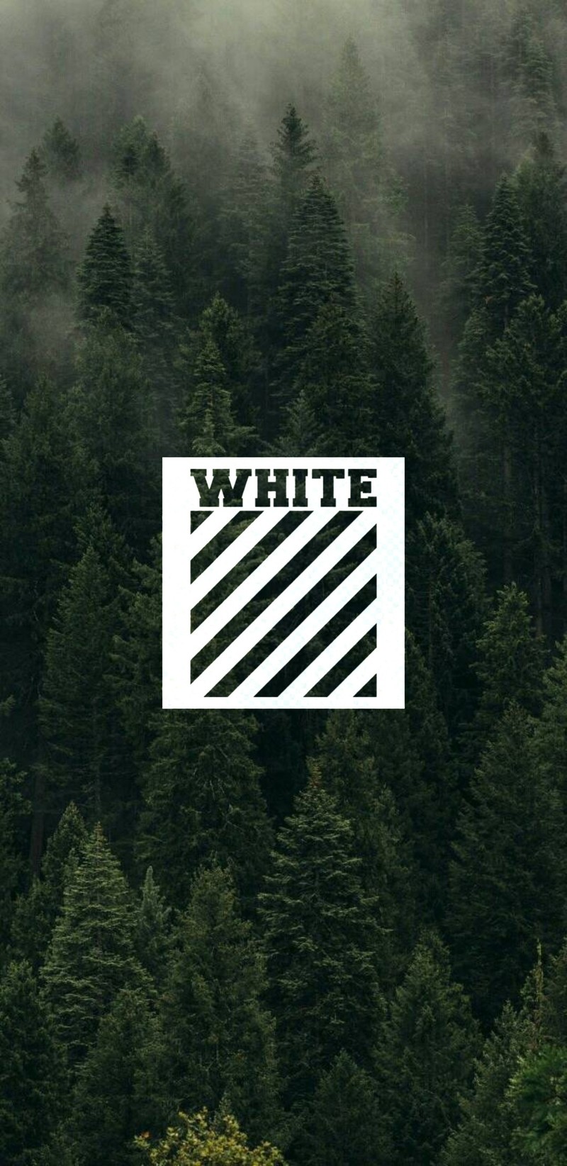 A close up of a white and black striped sign in front of a forest (day, foggy, forest, green)