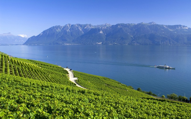 Вид лодки, плывущей по озеру рядом с горным хребтом (монтрё, montreux, горный курорт, возвышенность, горный хребет)