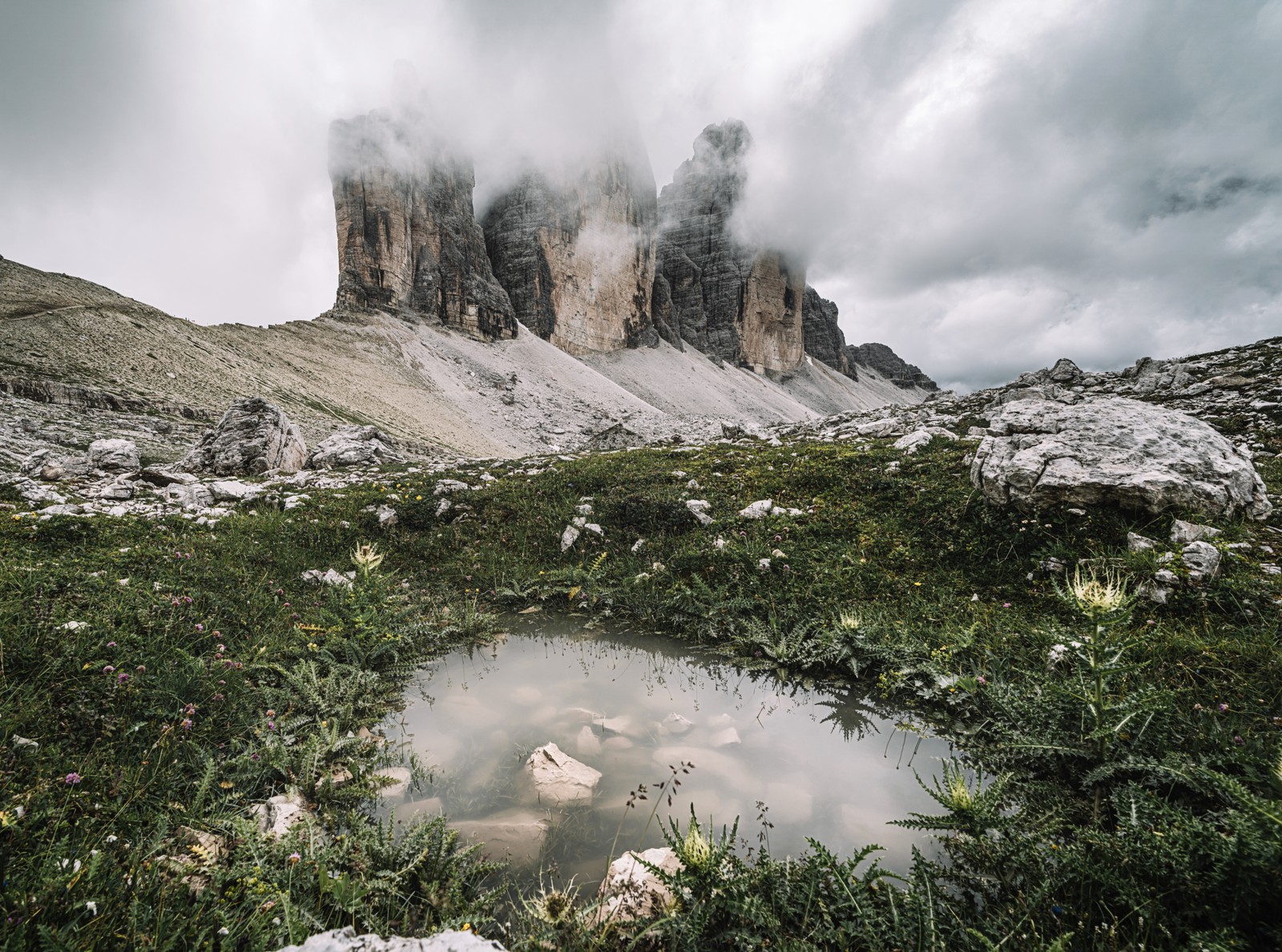 Há um pequeno lago no meio de um campo de grama (wild, nuvem, planta, montanha, paisagem natural)