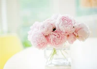 Bouquet élégant de pivoines roses dans un vase en verre