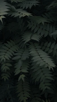 Dense Green Fern Leaves in Natural Landscape