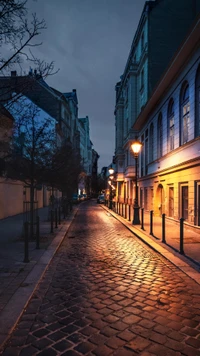 Allée tranquille du soir avec des lampadaires chaleureux