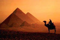 cairo, nile, pyramid, camel, arabian camel wallpaper