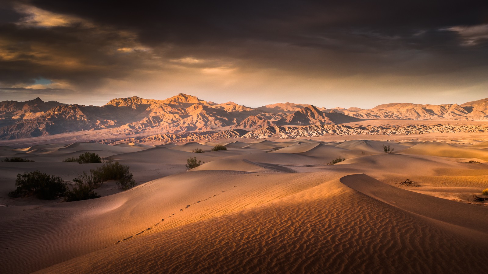 dune, desert, sand, natural environment, nature wallpaper