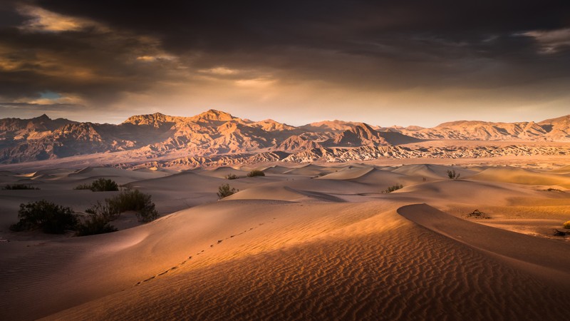 Вид на пустыню с песчаными дюнами и горами на заднем плане (дюна, dune, пустыня, песок, природная среда)