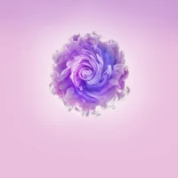 huawei, huawei nova, huawei nova 2, lilac, smartphone wallpaper