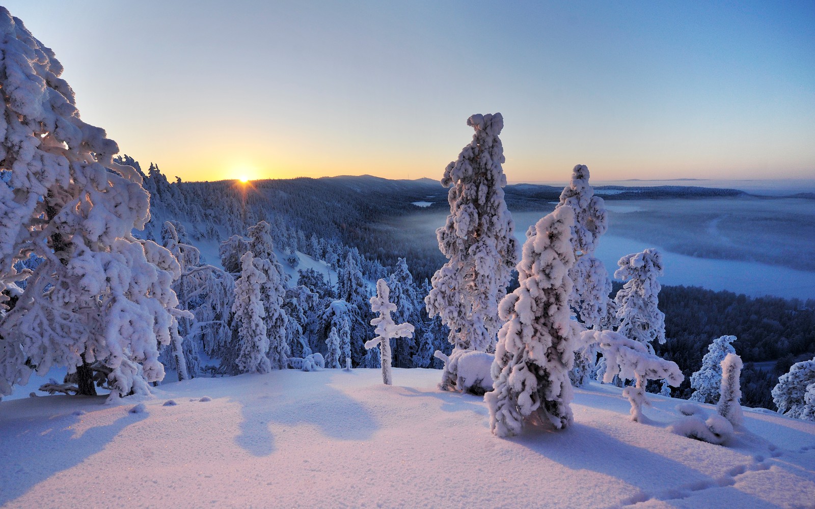 Uma vista de uma montanha nevada com árvores cobertas de neve (konttainen fell, finlândia, colina, inverno, árvores nevadas)