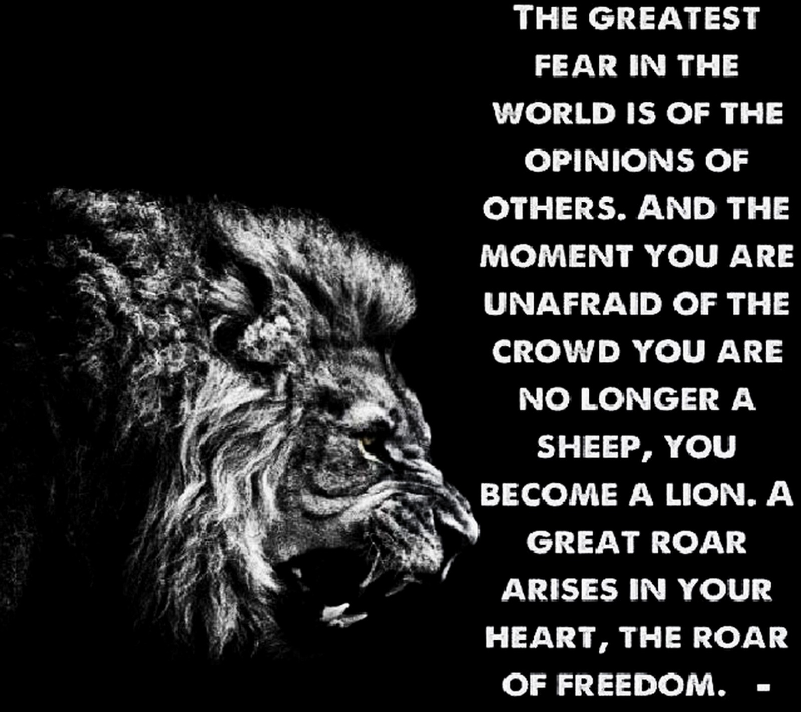 fear, freedom, greatest, heart, lion wallpaper