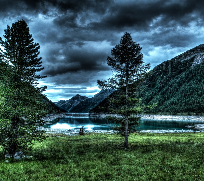 Trees and grass in a field with a lake and mountains in the background (black, flowers, love)