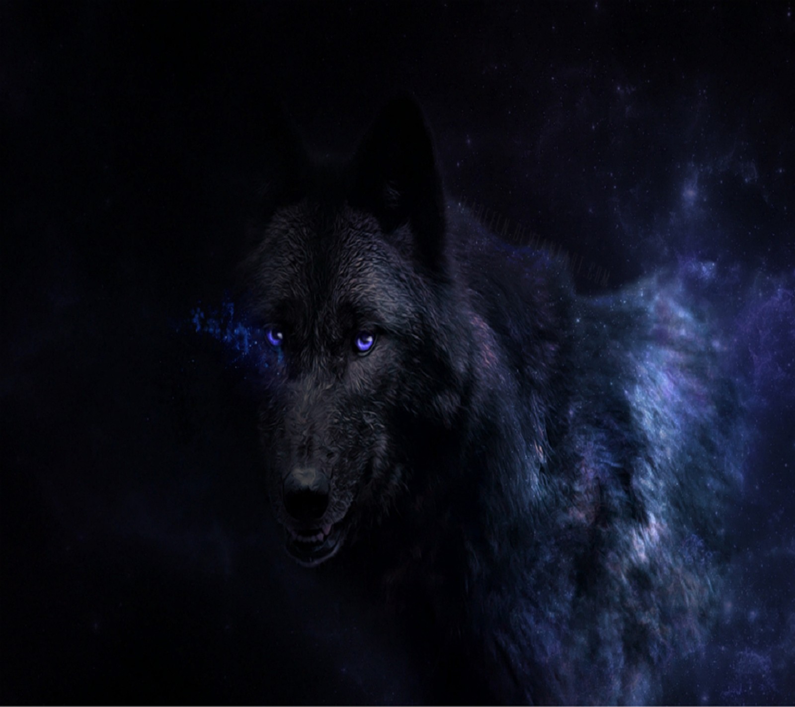 There is a wolf with blue eyes standing in the dark (awesome, wolf)