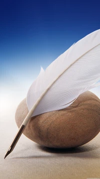 White Feather Resting on a Smooth Stone