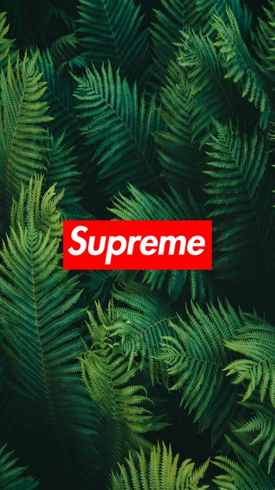 Logo de Supreme sobre un fondo de helechos verdes exuberantes