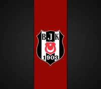 besiktas, bjk, águila negra, karakartal, kartal