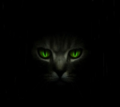 Chat fascinant avec des yeux verts frappants dans l'obscurité