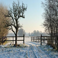 schön, niedlich, blick, nett