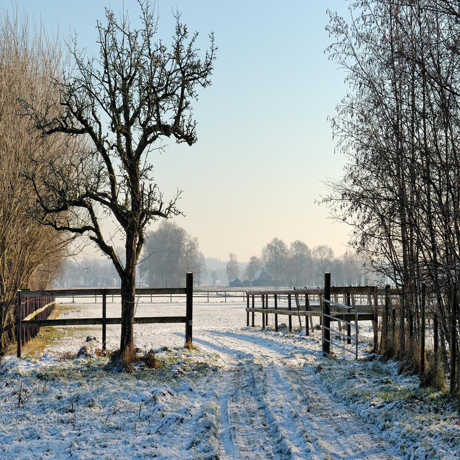 Lade schön, niedlich, blick, nett Hintergrund herunter