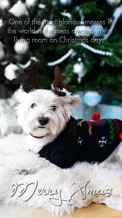 weihnachten, fröhlich