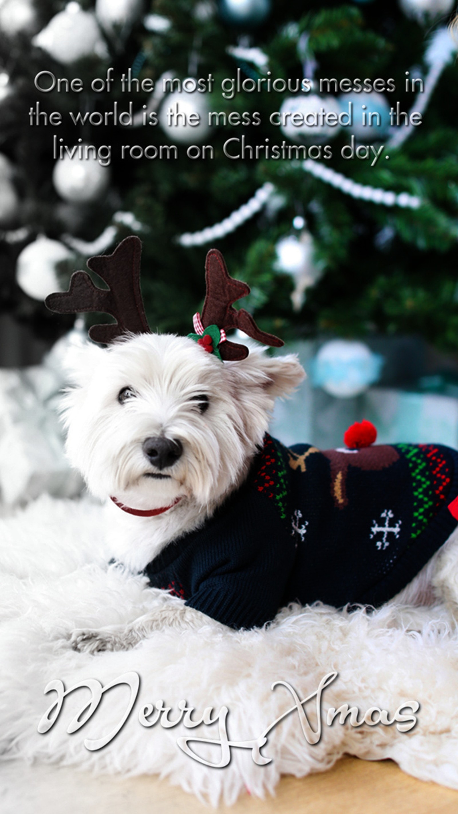 Téléchargez le fond d'écran noël, joyeux