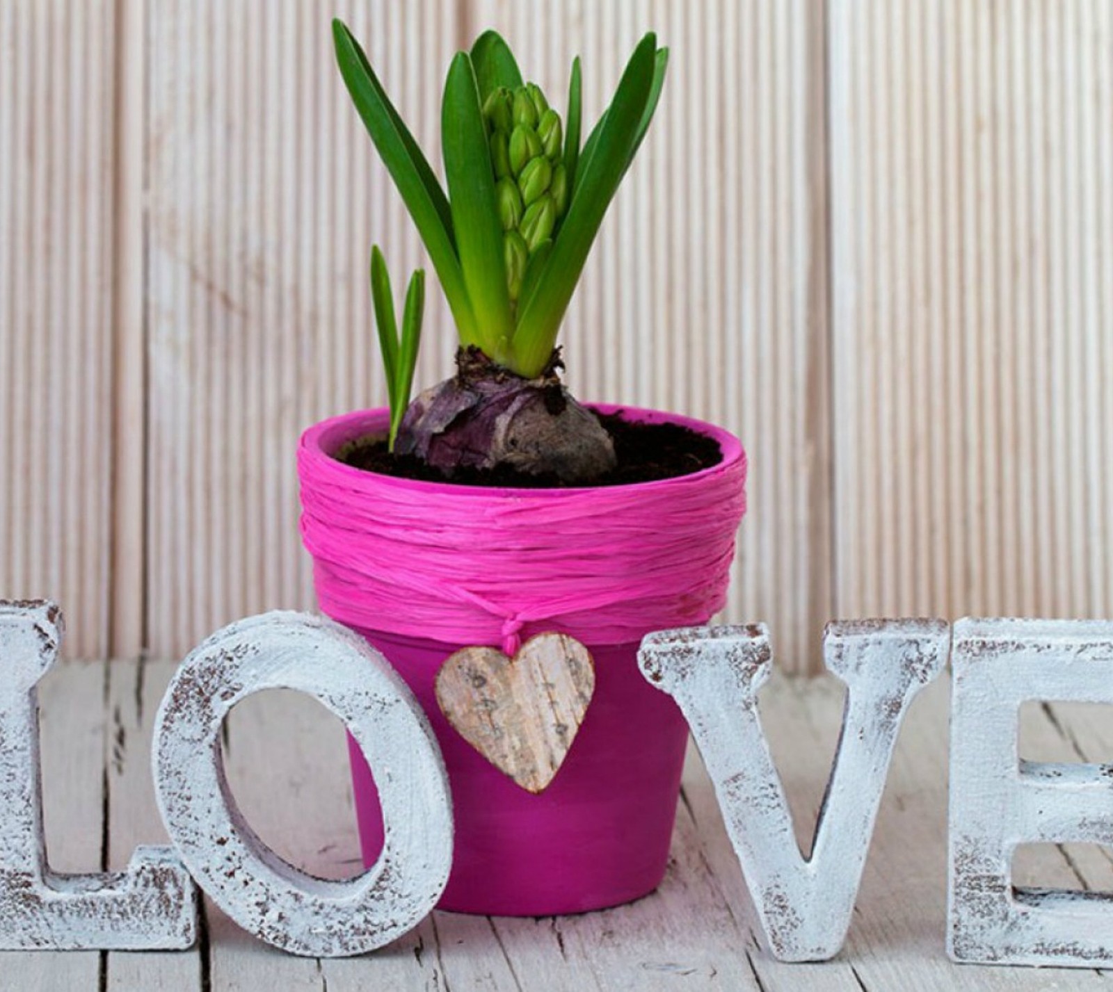 Il y a une plante en pot avec un pot en forme de cœur sur une table (fleurs, amour, papier peint)