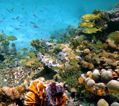 Vibrant Coral Reef teeming with Colorful Fish and Sea Life