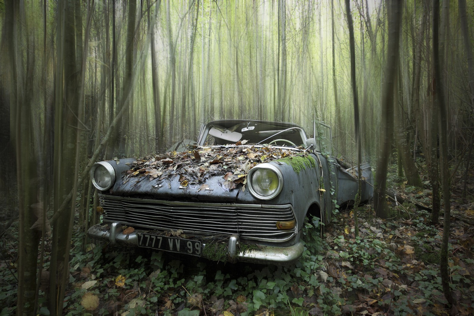 Um carro velho está parado no meio de uma floresta (carro vintage, carro, carro compacto, carro clássico, opel)