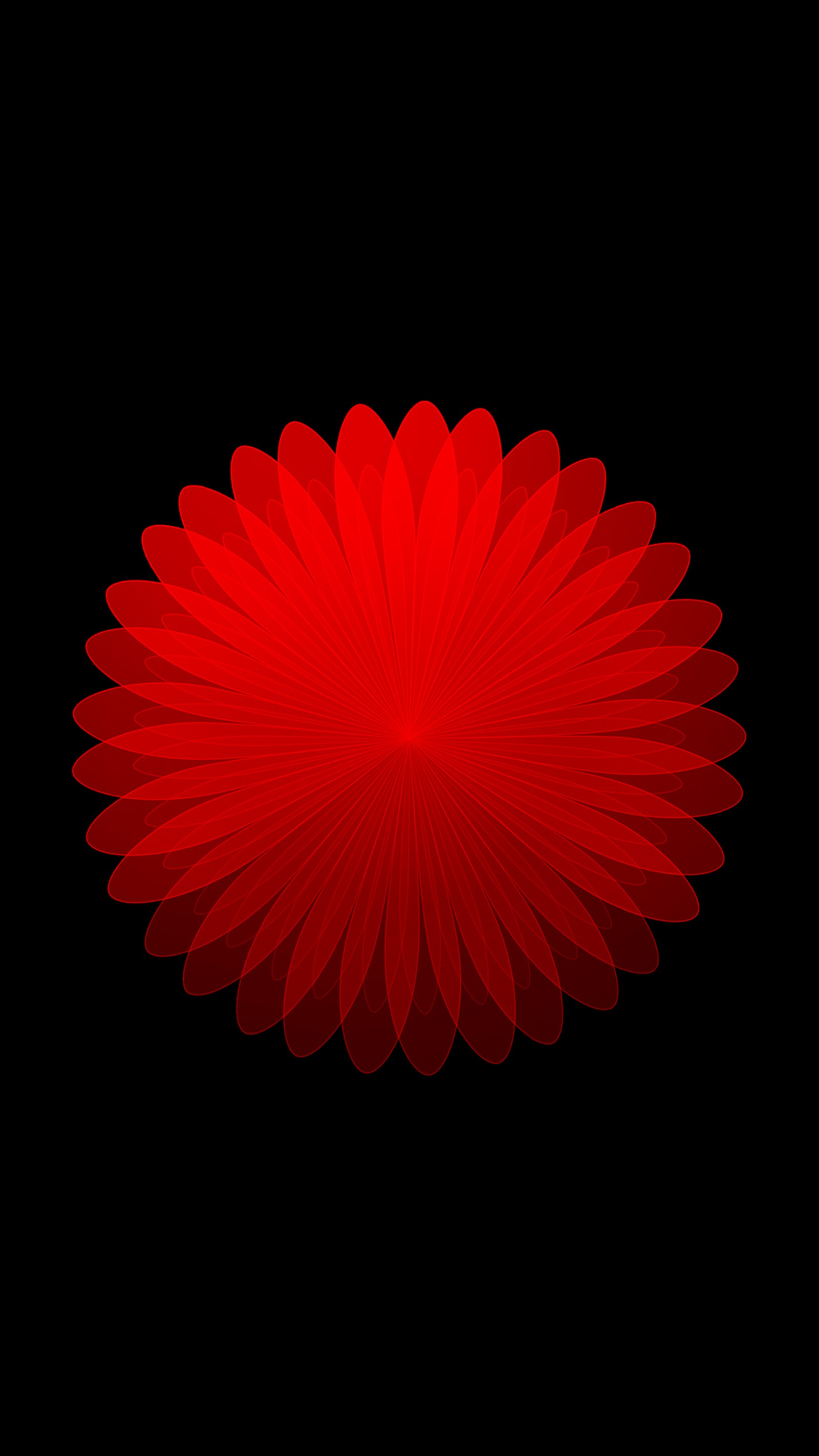 Uma flor vermelha em um fundo preto (zte, smartphone, vermelho, carmim, papoula)