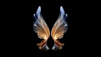 samsung galaxy w22, amoled, wings, black background, stock wallpaper