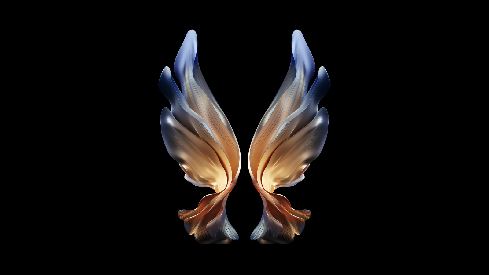 samsung galaxy w22, amoled, wings, black background, stock Download Wallpaper