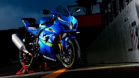 сузуки gsx r1000r, suzuki gsx r1000r, спортивные мотоциклы, велосипеды, обои 4k