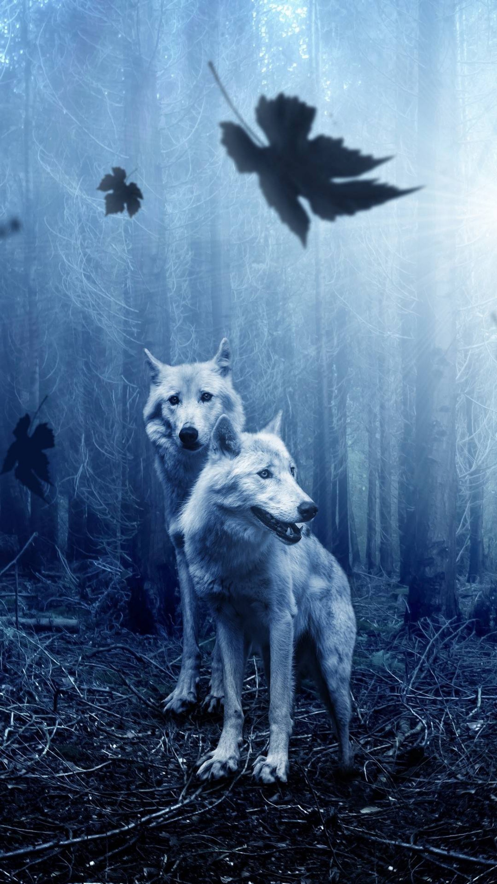 Descargar fondo de pantalla lobo, perro, atmósfera, planta, naturaleza