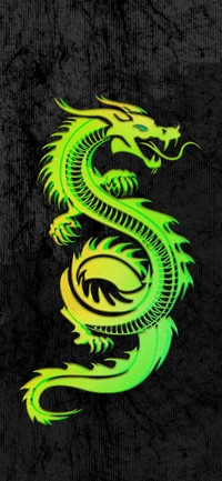 serpent, art, mythical creature, symbol, sleeve wallpaper