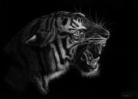 Majestic black and white drawing of a roaring Bengal tiger, showcasing its fierce expression, prominent whiskers, and intricate details against a dark background.