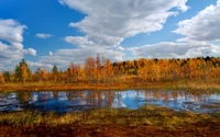 Осенние отражения в спокойном водно-болотном ландшафте